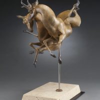 Gallery 8 - Timothy Nimmo