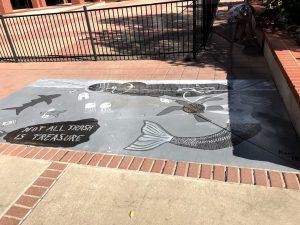 2018 Storm Drain Art: Kami McFall