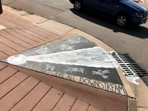 2018 Storm Drain Art: Kimberly Barnes