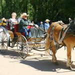 Bronc Day Festival presented by Building Ute Pass Community at Gazebo Lake Park, Green Mountain Falls CO