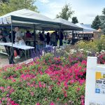 Gallery 1 - Bines & Brews Festival