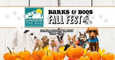 BARKS & BOOS FALL FEST presented by BARKS & BOOS FALL FEST at ,  