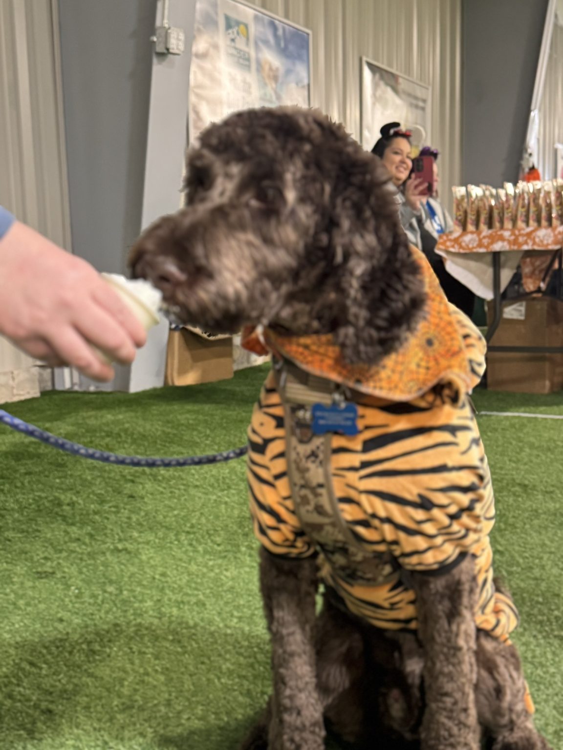 Gallery 11 - BARKS & BOOS FALL FEST
