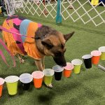 Gallery 4 - BARKS & BOOS FALL FEST
