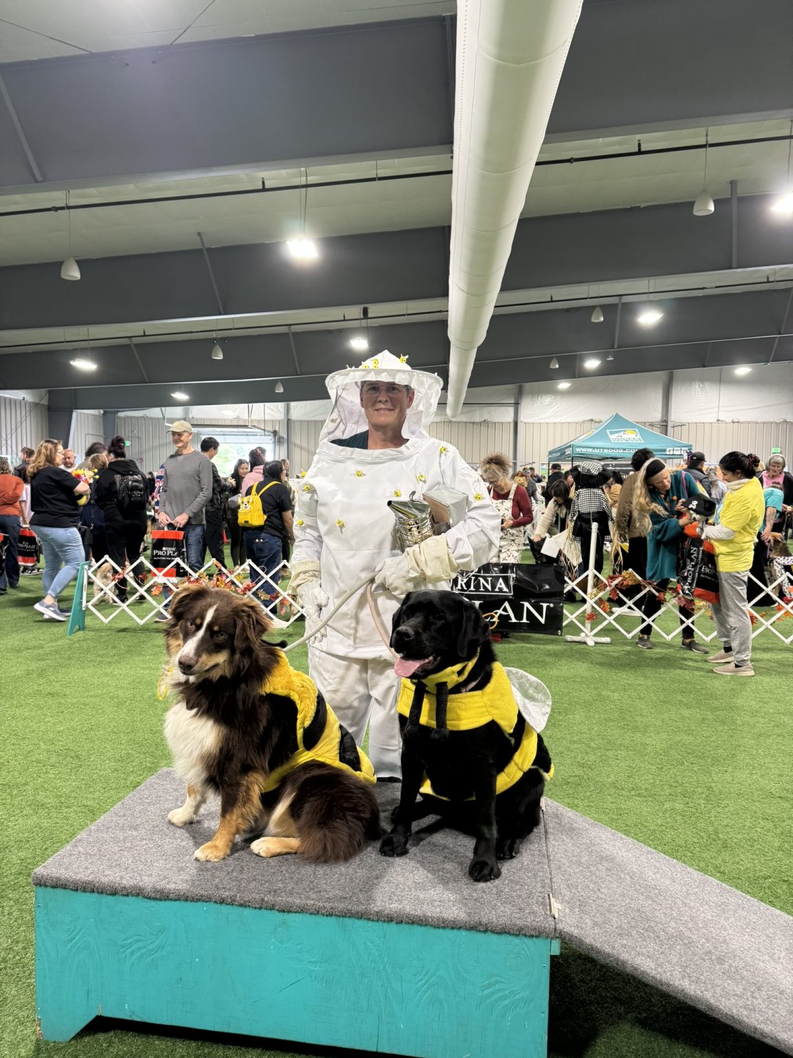 Gallery 9 - BARKS & BOOS FALL FEST