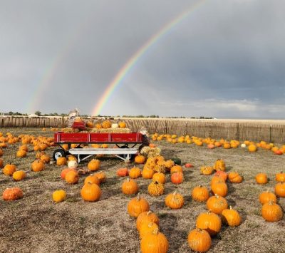 Wishing Star Farm Pumpkin Patch Fall Fest presented by  at ,  