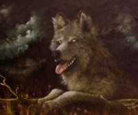 Gallery 3 - Jim RedHawk